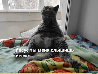 Прикольные и смешные картинки с надписями в пятницу