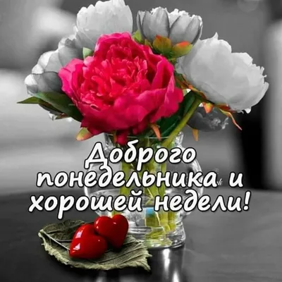 Смешные картинки на воскресенье
