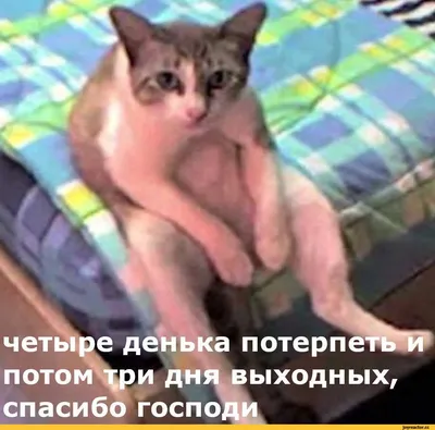 Картинки с Днем защиты детей: красивые и прикольные открытки к 1 июня - МК  Красноярск