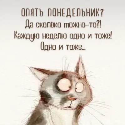 Удачной недели открытки прикольные - 74 фото