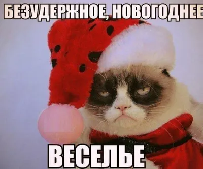Заказать капкейки на корпоратив | Капкейки Пермь