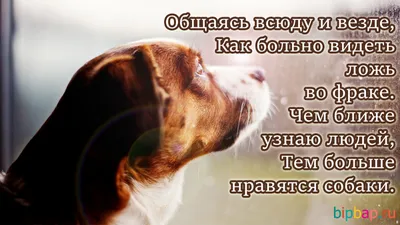Детский пазл \"Маленькая русалочка\", 100 элементов купить за 436 рублей -  Podarki-Market