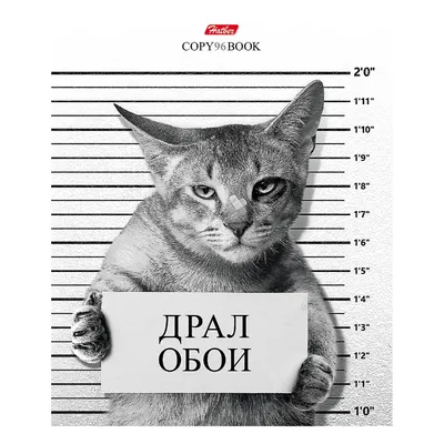 Прикольные обложки на тетради - фото и картинки abrakadabra.fun