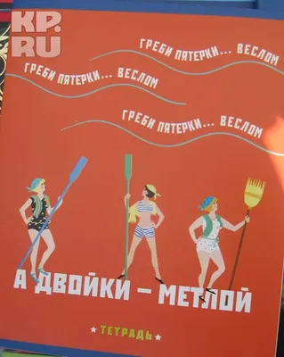 Тетрадь общая в клетку 48 листов.ТМ Calligrata. Арт.: 4841464 - «Прикольные  надписи, яркие раскраски, симпатичный енот» | отзывы