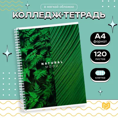 Тетрадь «Прикольные коты», А5, 48л — Интернет-магазин Creative Box — Милая  Канцелярия, Подарки