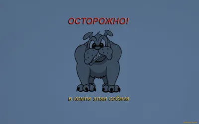 Грустный кот курит сигару, прикольные и смешные картинки, забавные фото и  обои с юмором для рабочего стола, Full HD 1920