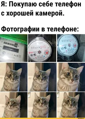 Прикольные молодежные картинки на телефон (100 картинок) 🌟