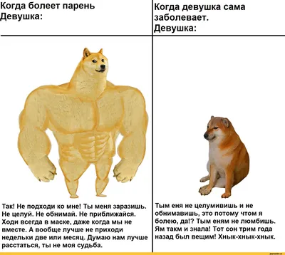 Когда болеет парень Девушка: Так! Не подходи ко мне! Ты меня заразишь. Не  целуй. Не обнимай. Не пр / мем :: доги :: собака с мускулами :: простуда ::  болезнь :: взаимоотношения ::