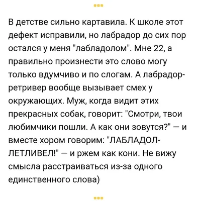 Лабладор летливер | Пикабу