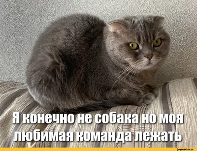 Что я чувствовал? Да иди ты на ***! Шура Буртин по просьбе «Медузы» провел  два месяца в Украине — и рассказывает, как украинцы живут во время войны и  защищают свою страну от