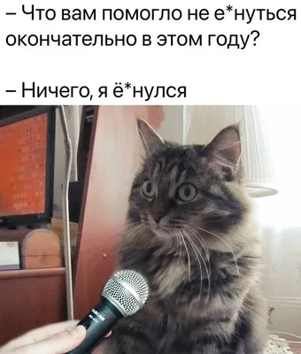 Приколы для даунов :: разное / картинки, гифки, прикольные комиксы,  интересные статьи по теме.