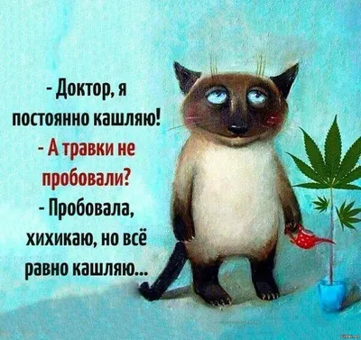 постоянно болею простудой кто наводит порчу｜Поиск в TikTok