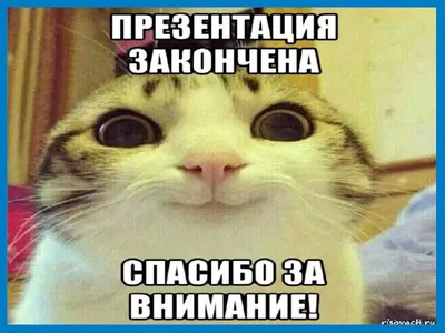 Природа - шаблоны для создания презентаций PowerPoint