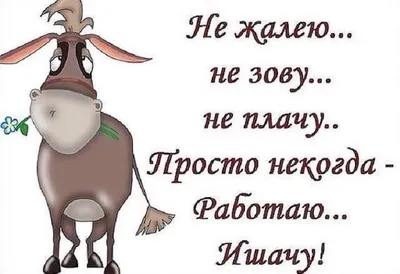 ать и четыре денька потерпе ПОТОМ 'ДОИ дня выходных, спасибо господи /  работа :: выходные :: картинка с текстом :: котэ (прикольные картинки с  кошками) / смешные картинки и другие приколы: комиксы,