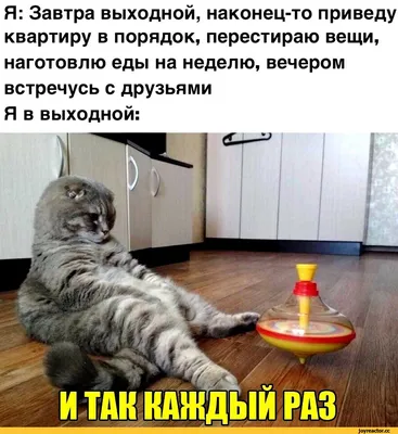 Смешные картинки на выходные