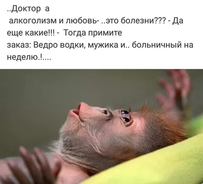 Демотиваторы и приколы про ватсап (5 фото)