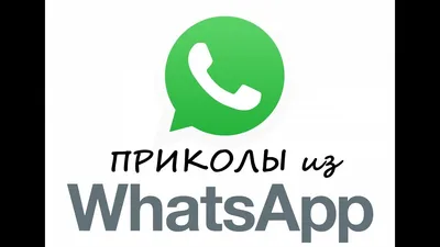 Прикольные аватарки для ватсап (79 лучших фото)