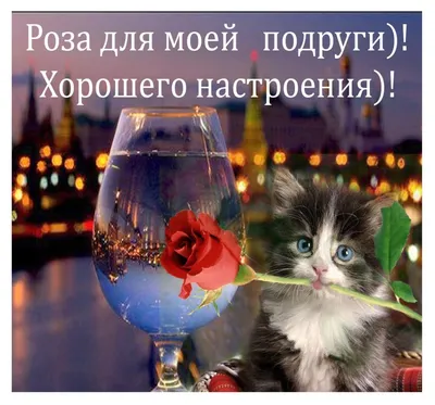 добрый вечер / смешные картинки и другие приколы: комиксы, гиф анимация,  видео, лучший интеллектуальный юмор.