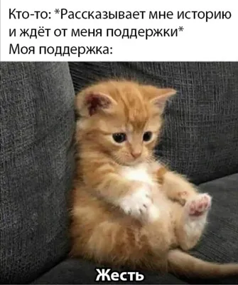 Прикольные картинки хорошего вечера