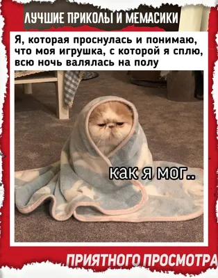 Красивые картинки \"Добрый вечер!\" (39 фото) • Прикольные картинки и юмор |  Роспись цветов, Открытки, Букеты из полевых цветов