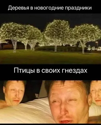https://dzen.ru/a/YdVYEc0MGGHDVb6a