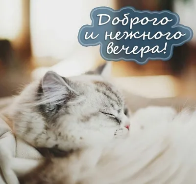 Бисер: Модные штучки!: Трендовые украшения и прикольные шармы за один вечер  - купить книгу с доставкой в интернет-магазине «Читай-город». ISBN:  978-5-00-141862-7