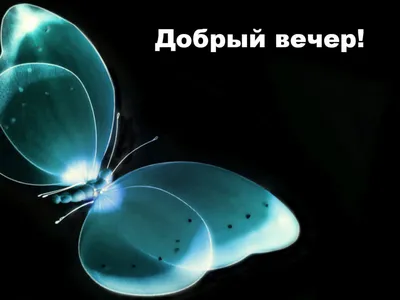 УТРО ВЕЧЕР ДЕНЬ / тыгыдык :: комикс :: котэ (прикольные картинки с кошками)  / смешные картинки и другие приколы: комиксы, гиф анимация, видео, лучший  интеллектуальный юмор.