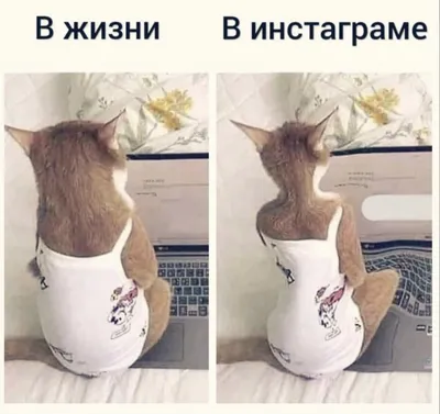 Добрый вечер, друзья! - Картинки пожелания доброго вечера друзьям - гифки,  прикольные открытки, фото, красивые с… | Открытки, Счастливые картинки,  Позитивные цитаты