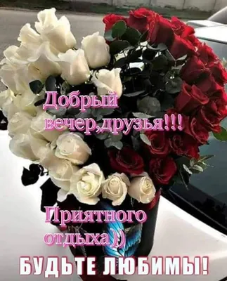вечер / прикольные картинки, мемы, смешные комиксы, гифки - интересные  посты на JoyReactor / новые посты