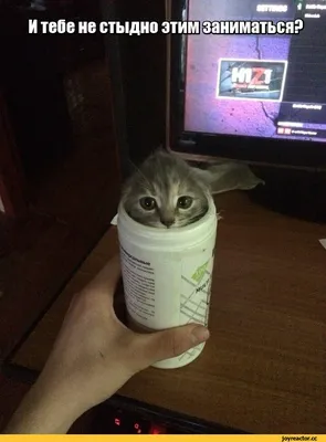 Прикольные открытки \"Доброго вечера!\" (158 шт.)