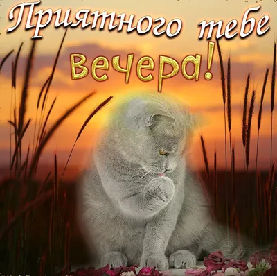 МОЖЕТ УСТРОИМ ВЕЧЕР ЮМОРА? ПОКИДАЙТЕ СВОИ ... - ПРИВЕТСТВИЯ и ПОЖЕЛАНИЯ,  открытки на каждый день., №1991378488 | Фотострана – cайт знакомств,  развлечений и игр