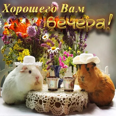 МОЖЕТ УСТРОИМ ВЕЧЕР ЮМОРА? ПОКИДАЙТЕ СВОИ ... - ПРИВЕТСТВИЯ и ПОЖЕЛАНИЯ,  открытки на каждый день., №1991378488 | Фотострана – cайт знакомств,  развлечений и игр