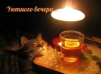 Прикольные картинки: вечер воскресенья (30 картинок) от 21 января 2018 |  Екабу.ру - развлекательный портал