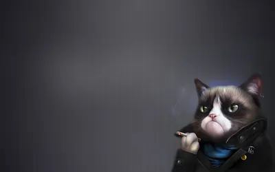 Обои Юмор и Приколы , обои для рабочего стола, фотографии юмор и приколы,  grass, cat, glasses, smart, phone Обои для рабочего стола, скачать обои  картинки заставки на рабочий стол.