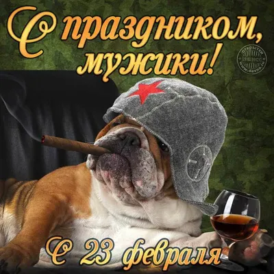 Что подарить на 23 февраля — топ-150 идей лучших подарков для мужчин на  День защитника Отечества