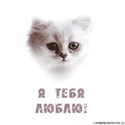 Новогодние открытки для посткроссинга с пожеланиями, набор мини открыток  маме, бабушке, подруге с Новым годом 2024, 10х15 см, 30 шт - купить с  доставкой в интернет-магазине OZON (1309650668)