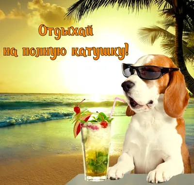 Самостоятельный отдых у Черного моря * Туапсе