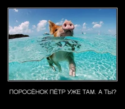 Лето, солнце, море, пляж: смешные приколы с побережья - Телеграф
