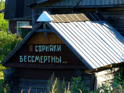 Вот будет лето, поеду на дачу