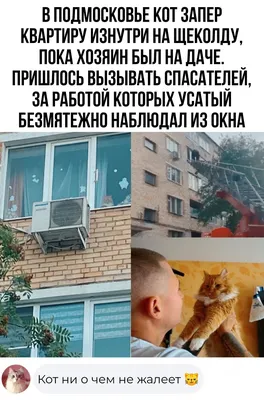 Анекдоты про дачу, дачный юмор - YouTube
