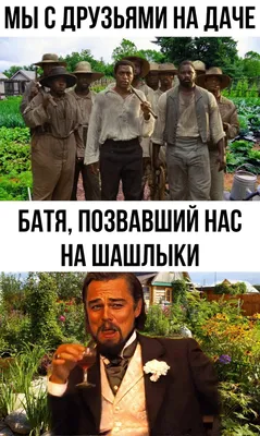 Смешные до слез: подборка забавных фото животных со всего мира: Идеи и  вдохновение в журнале Ярмарки Мастеров