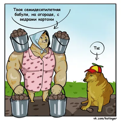 Дача огород / смешные картинки и другие приколы: комиксы, гиф анимация,  видео, лучший интеллектуальный юмор.