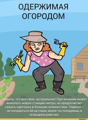 Табличка на туалет прикольная \"Волк Шо Опять\" 30х25 см. Вывеска на дверь  деревянная. Прикол, 30 см, 25 см - купить в интернет-магазине OZON по  выгодной цене (1081576281)