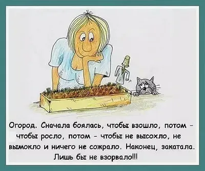 Кружка бухгалтеру экономисту юристу LA PRINT HOUSE Беларусь 122000637  купить за 402 ₽ в интернет-магазине Wildberries