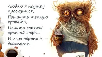 Бесплатные шаблоны сторис Instagram | Обложки, фоны для сторис | Canva