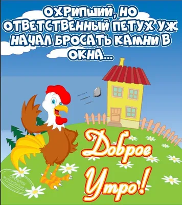 Сова в понедельник: картинки с добрым утром - инстапик | Доброе утро, Утро  понедельника, Понедельники