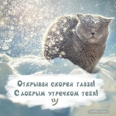 Картинки \"с Добрым утром\" красивые (115 штук)