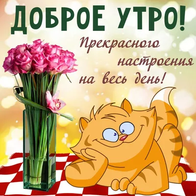 Красивые и прикольные картинки с пожеланием зимнего Доброго утра! | Доброе  утро, Зимние картинки, Детский юмор