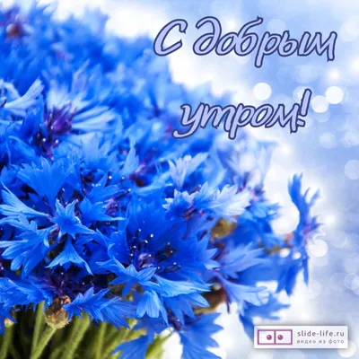 Прикольные картинки \"С Добрым Утром!\" (254 шт.)