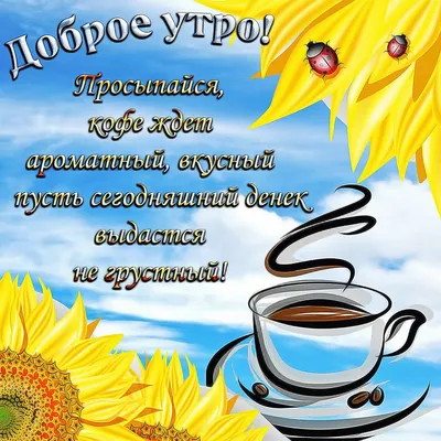 ДОБРОЕ УТРО СОЛНЕЧНОГО ДНЯ 😇❤💞💕😍😁✌🥰#РахимСнимиНаGalaxy #DurexНаТ... |  TikTok